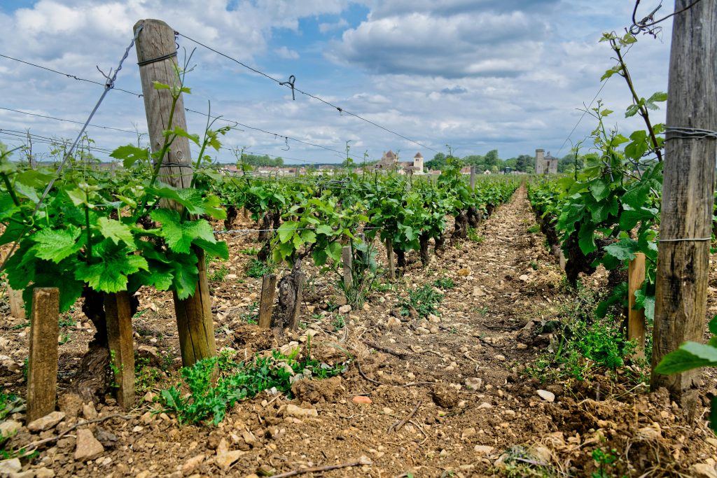 Rosé de Vendéole